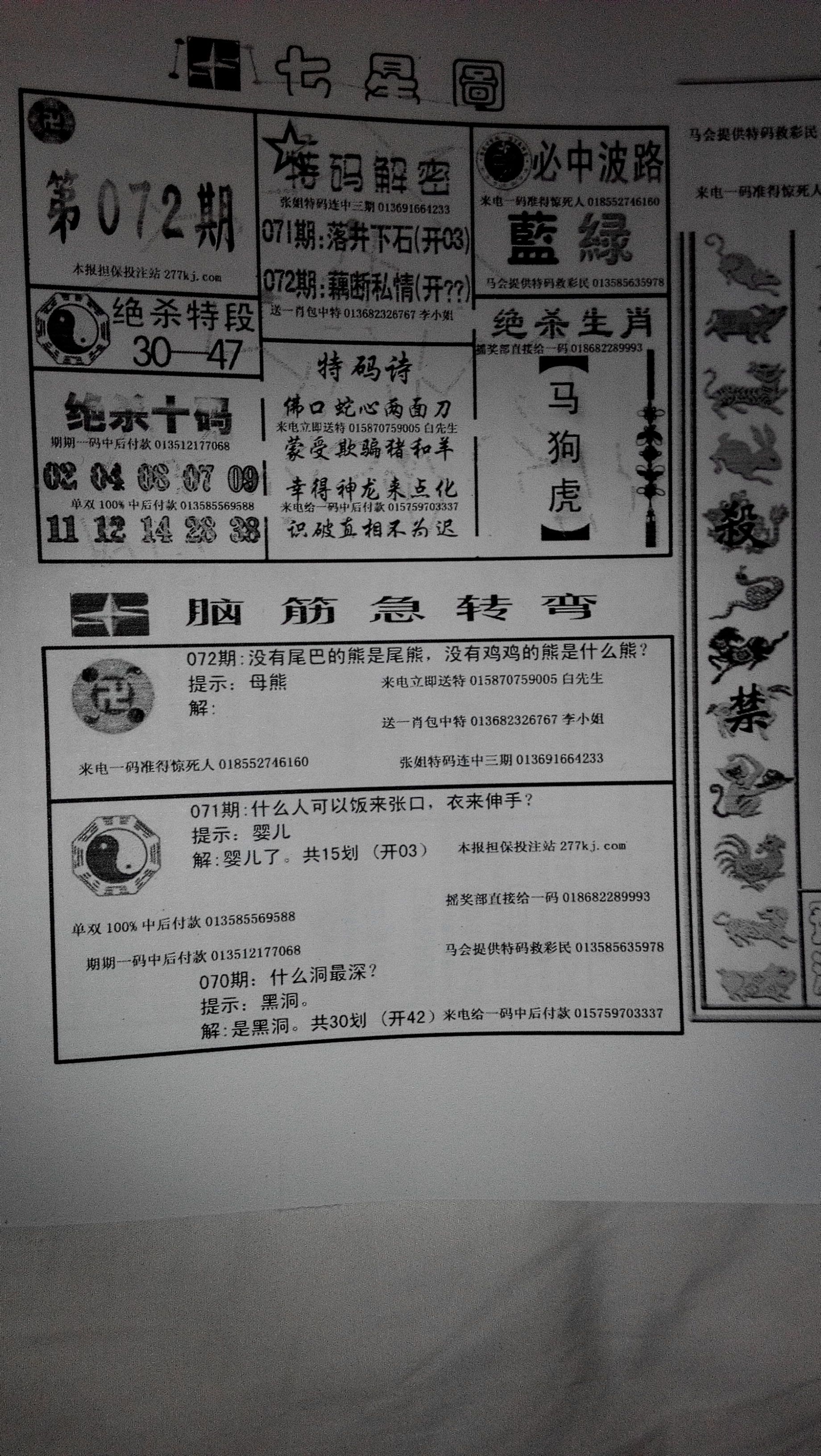 王中王53期期指一生肖，揭秘生肖運勢與獨特魅力，揭秘生肖運勢與獨特魅力，王中王期指生肖解析第53期回顧