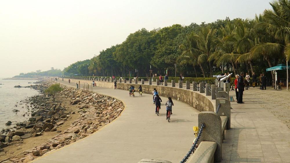 紅樹林海濱生態(tài)公園，自然與城市的和諧共生，紅樹林海濱生態(tài)公園，自然與城市和諧共生的典范