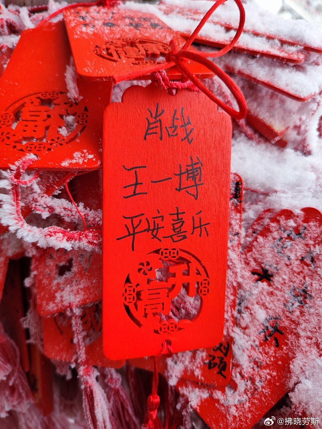 下載王中王平特一肖，全面解析與攻略，王中王平特一肖全面解析與攻略下載