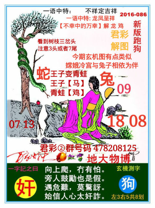 揭秘精準(zhǔn)跑狗圖，7777788888背后的神秘寓意，揭秘跑狗圖神秘寓意，數(shù)字組合背后的秘密含義