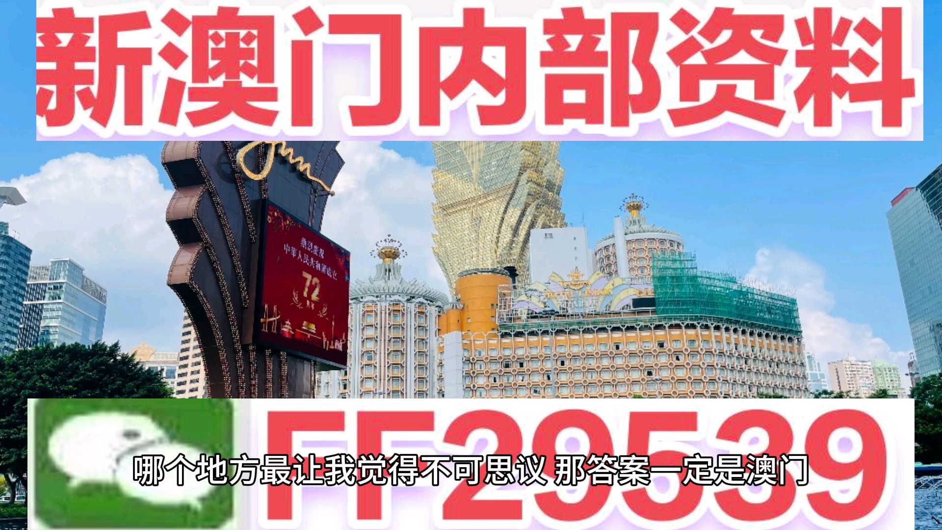 新奧門碼資料，探索與解析，新奧門碼資料解析與探索