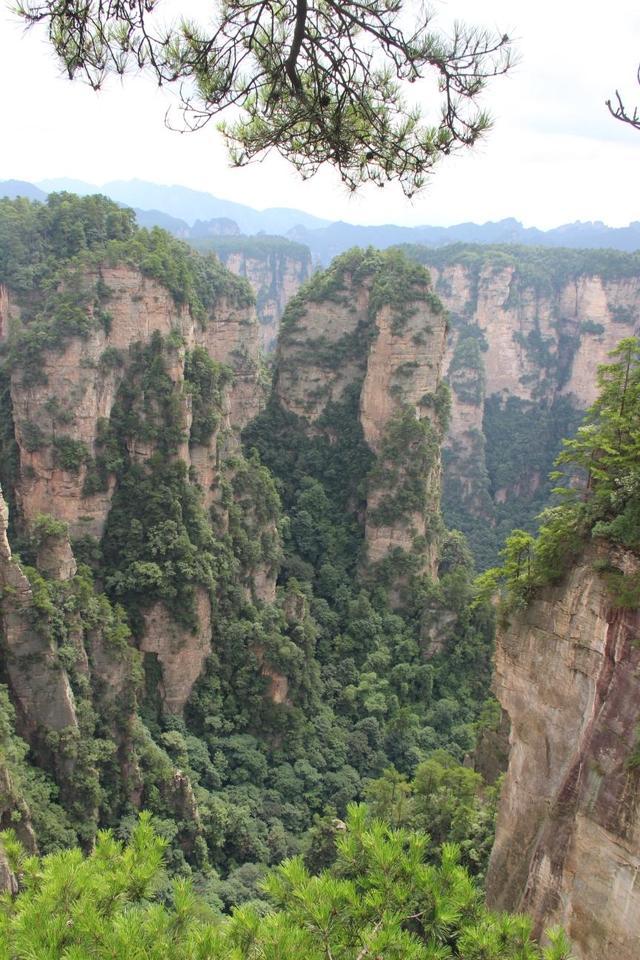 張家界金鞭溪圖片，自然美景的絕佳展示，張家界金鞭溪自然美景圖片展示，絕美風(fēng)光盡收眼底