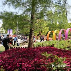 上海植物園地址及其周邊環(huán)境與游覽指南，上海植物園地址、周邊環(huán)境與游覽攻略全解析