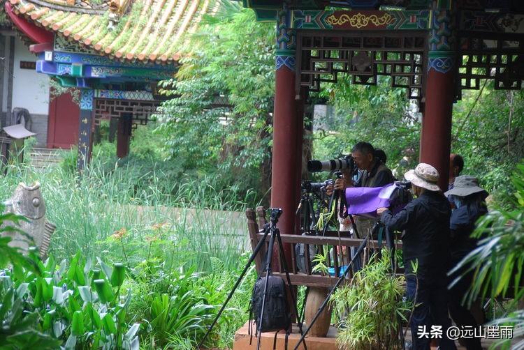 昆明市區(qū)有什么好玩的——探索春城的多彩魅力，春城昆明，多彩魅力的探索之旅