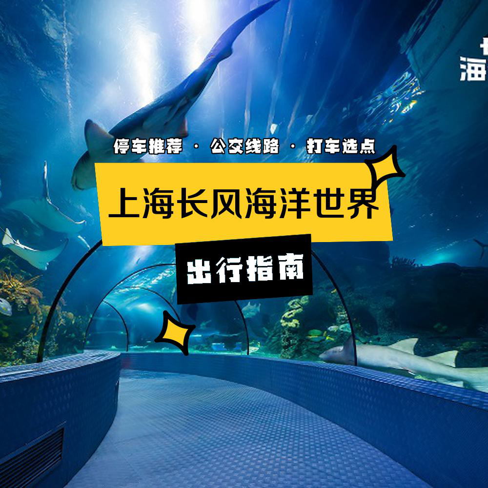 上海長風(fēng)海洋世界公園攻略，探索海洋奇趣之旅，上海長風(fēng)海洋世界公園攻略，探索海洋世界的奇趣之旅
