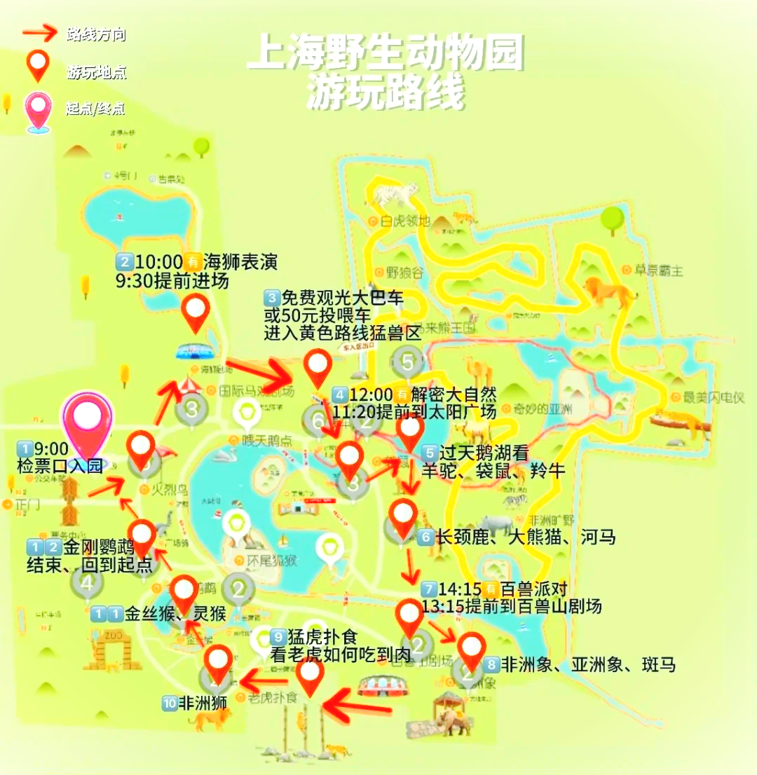 上海野生動(dòng)物園攻略，探索野生動(dòng)物的奇妙世界，上海野生動(dòng)物園攻略，探索野生動(dòng)物的奇妙之旅