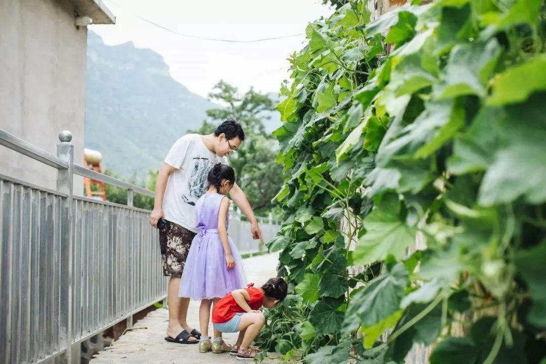 野三坡有什么好玩的——探索神秘的自然風(fēng)光與人文魅力，野三坡探秘之旅，自然與人文的完美結(jié)合