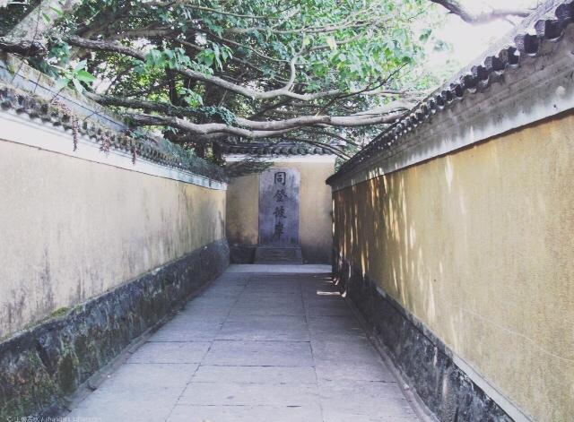 普陀山自由行游玩攻略，普陀山自由行攻略指南