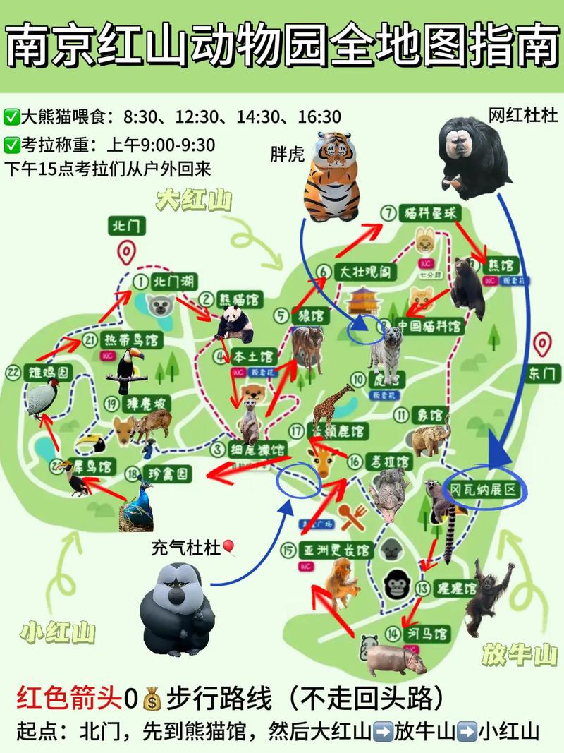 南京紅山動(dòng)物園門(mén)票信息及游玩攻略，南京紅山動(dòng)物園門(mén)票信息與游玩攻略全解析