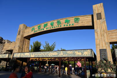 大興動(dòng)物園自駕劃算嗎？深度解析給您看，大興動(dòng)物園自駕游深度解析，是否值得一游？
